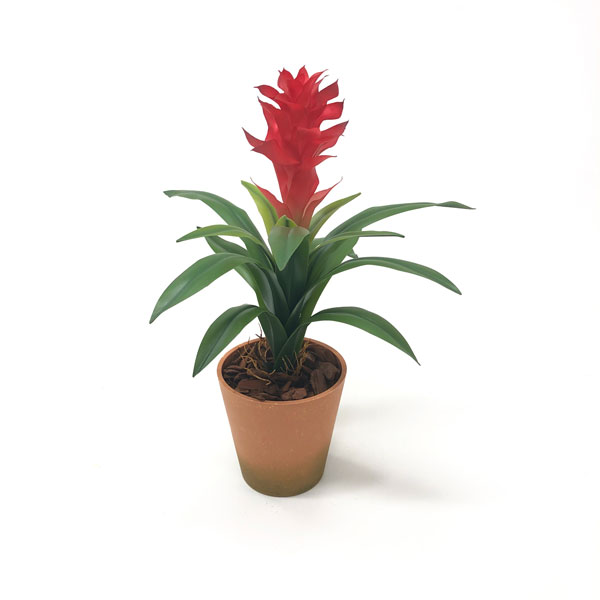 Brómelia Gusmenia Vermelho Planta em Silicone (58cm) - Imagem 2