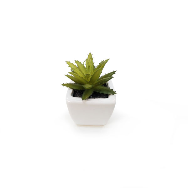 Suculenta Artificial em Vasinho de Cerâmica (7-10cm) - Imagem 6