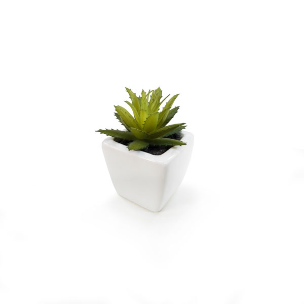 Suculenta Artificial em Vasinho de Cerâmica (7-10cm) - Imagem 7