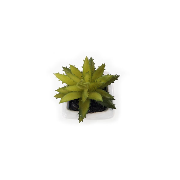 Suculenta Artificial em Vasinho de Cerâmica (7-10cm) - Imagem 8