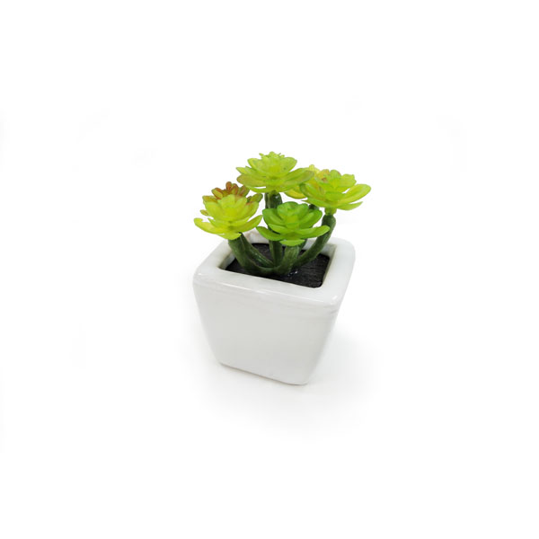 Suculenta Artificial em Vasinho de Cerâmica (7-10cm) - Imagem 9