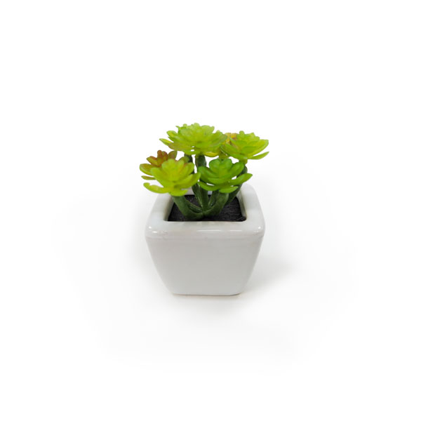 Suculenta Artificial em Vasinho de Cerâmica (7-10cm) - Imagem 10