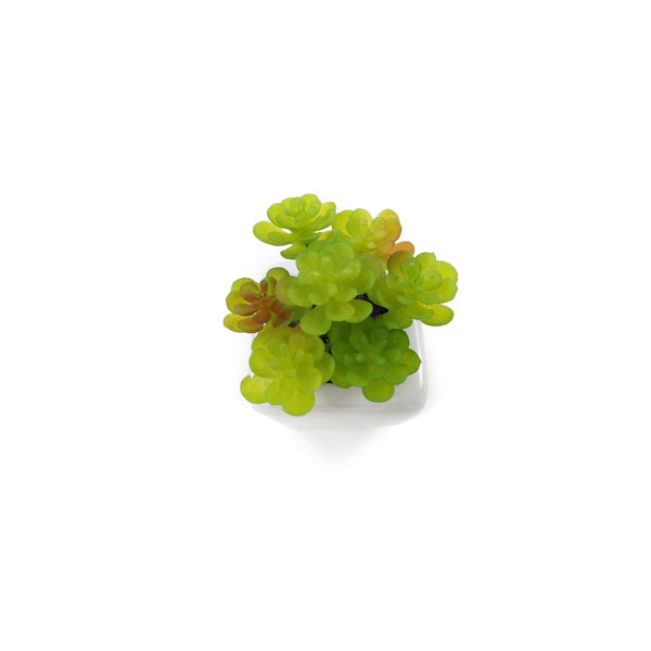 Suculenta Artificial em Vasinho de Cerâmica (7-10cm) - Imagem 11