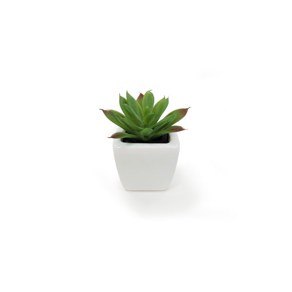 Suculenta Artificial em Vasinho de Cerâmica (7-10cm) - Imagem 12