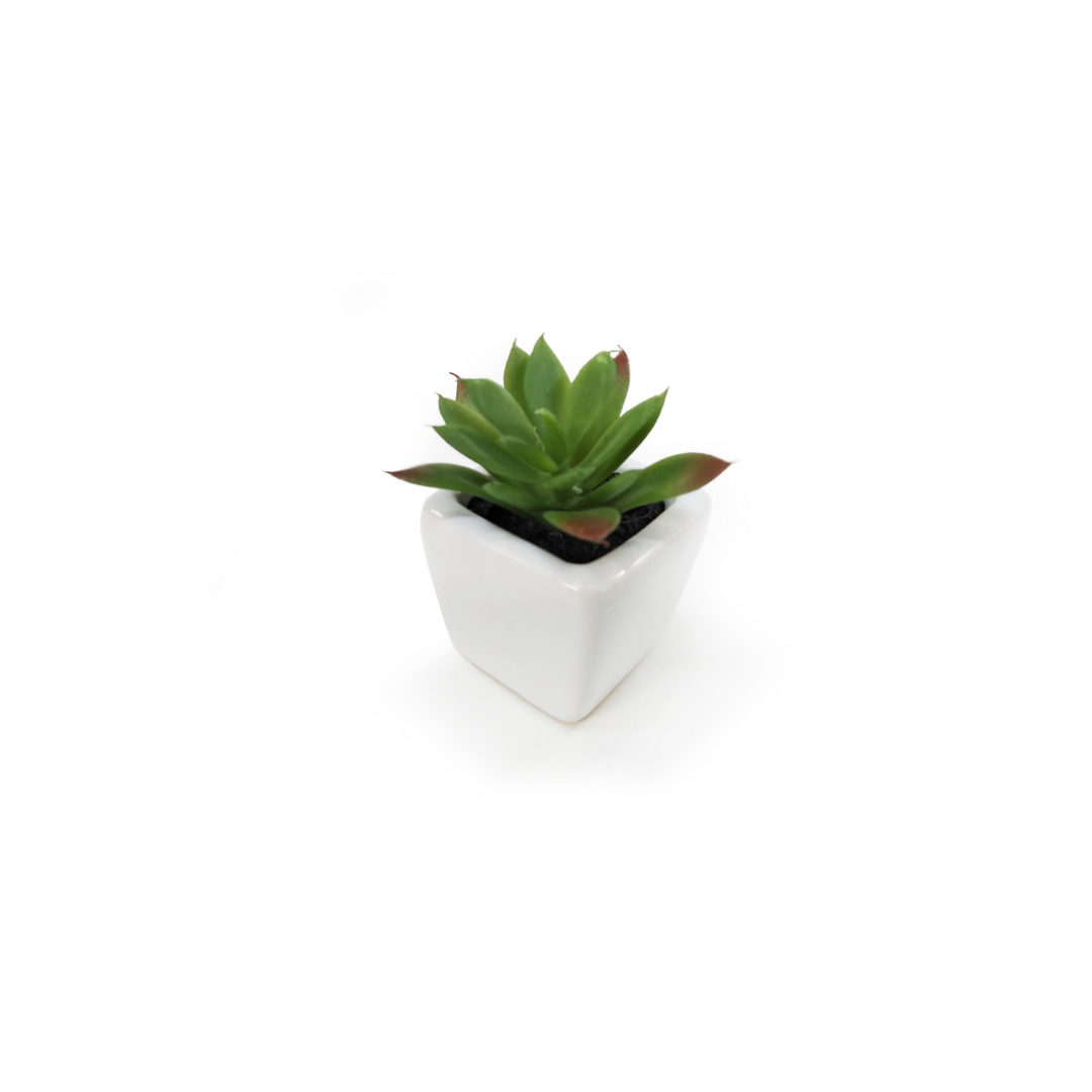 Suculenta Artificial em Vasinho de Cerâmica (7-10cm) - Imagem 13