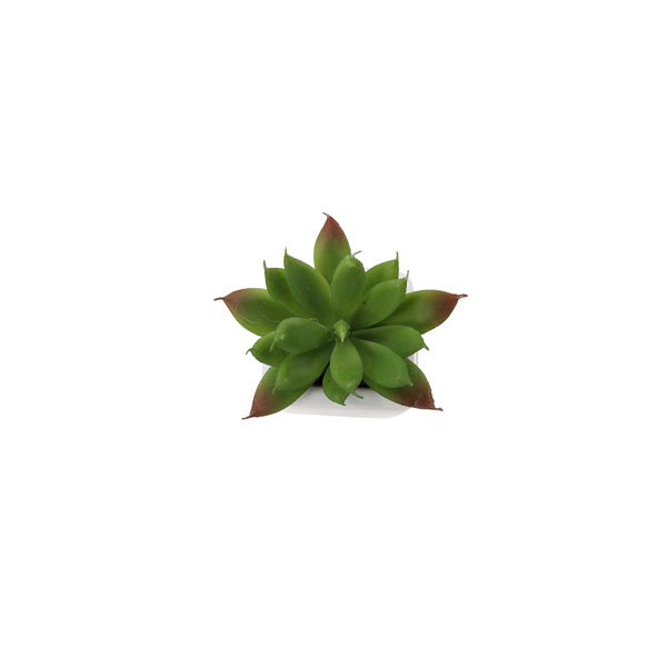 Suculenta Artificial em Vasinho de Cerâmica (7-10cm) - Imagem 14