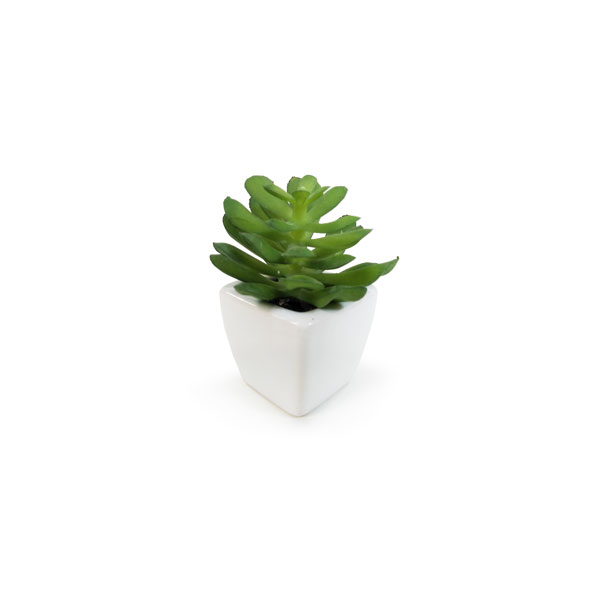 Suculenta Artificial em Vasinho de Cerâmica (7-10cm) - Imagem 15