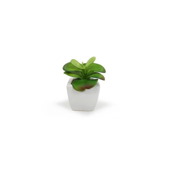 Suculenta Artificial em Vasinho de Cerâmica (7-10cm) - Imagem 18
