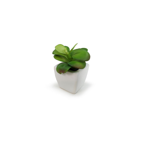Suculenta Artificial em Vasinho de Cerâmica (7-10cm) - Imagem 19