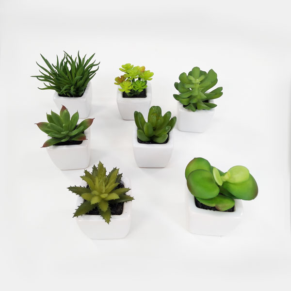 Suculenta Artificial em Vasinho de Cerâmica (7-10cm) - Imagem 2