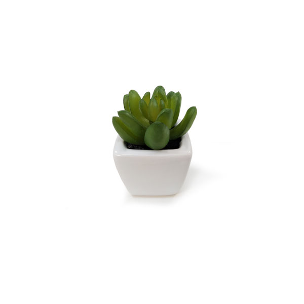 Suculenta Artificial em Vasinho de Cerâmica (7-10cm) - Imagem 21
