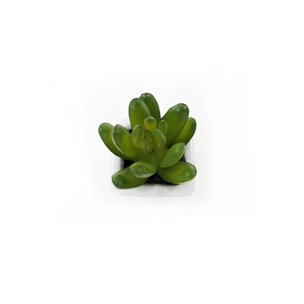 Suculenta Artificial em Vasinho de Cerâmica (7-10cm) - Imagem 23