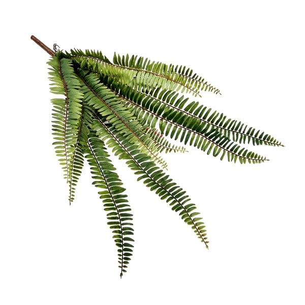 Samambaia Folhagem Artificial 9F (47cm) - Imagem 4