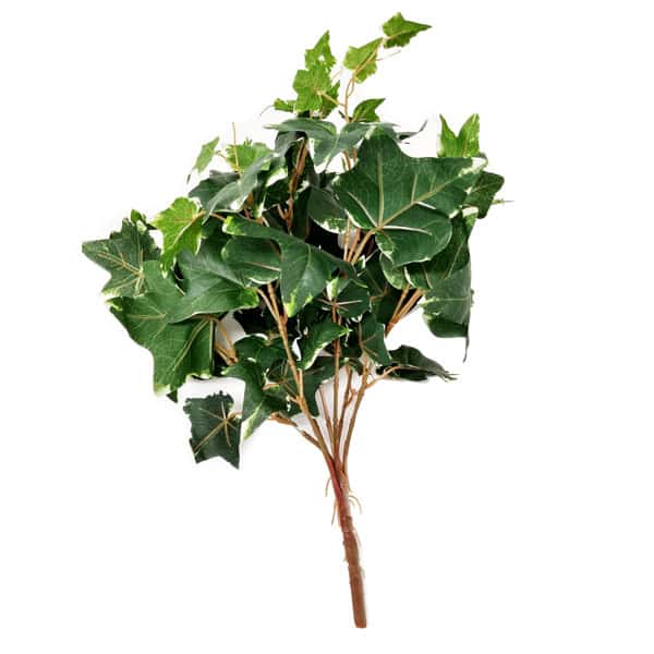 Hera Verde Folhagem Artificial (42cm) - Imagem 5