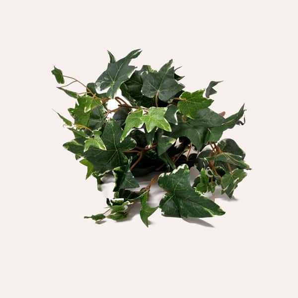 Hera Verde Folhagem Artificial (42cm) - Imagem 6