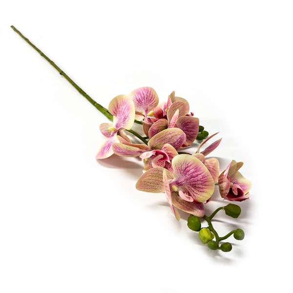 Orquídea Borboleta 3D 8FL Flor Artificial (80cm) - Imagem 6