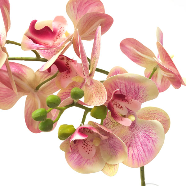 Orquídea Borboleta 3D 8FL Flor Artificial (80cm) - Imagem 8