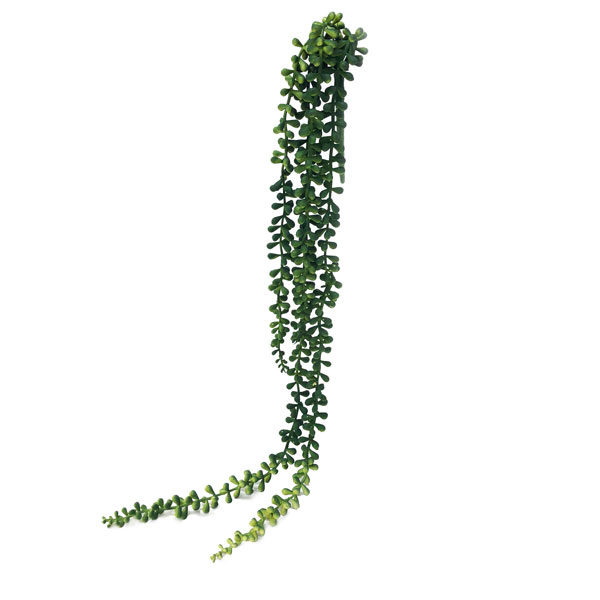 Colar-de-Pérolas Suculenta Verde Pendente Artificial (75cm)