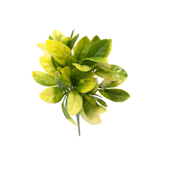Eden Folhagem Artificial 5H (33cm) - Imagem 11