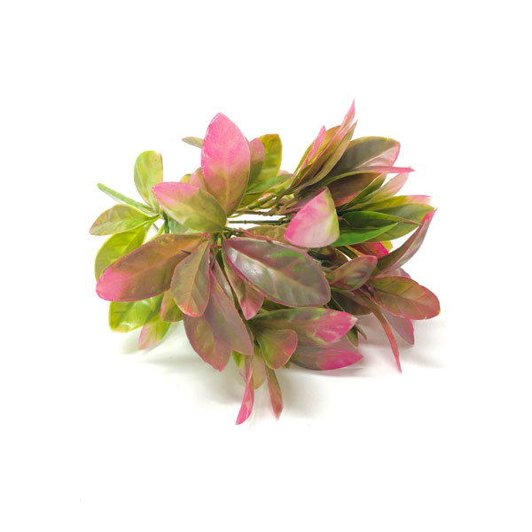 Eden Folhagem Artificial 5H (33cm) - Imagem 22