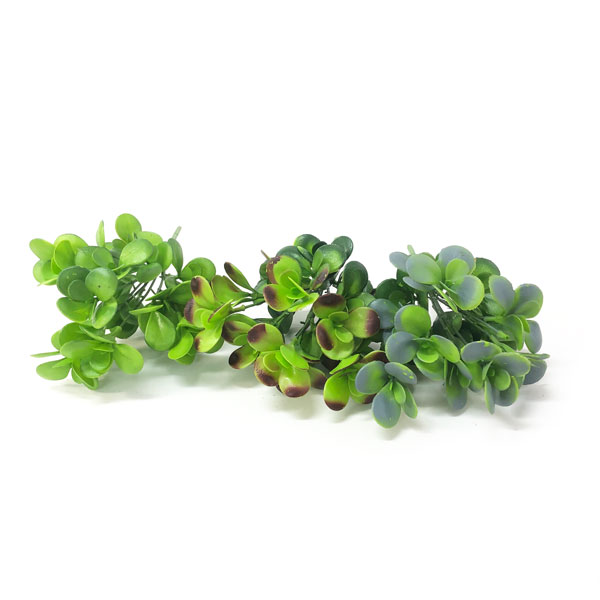 Jade Suculenta Artificial 7H (31cm) - Imagem 2