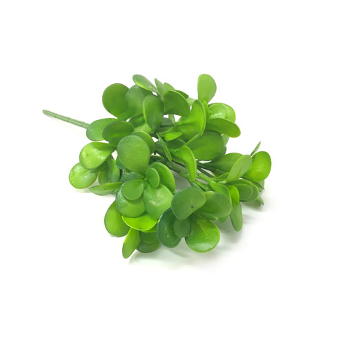 Jade Suculenta Artificial 7H (31cm) - Imagem 8