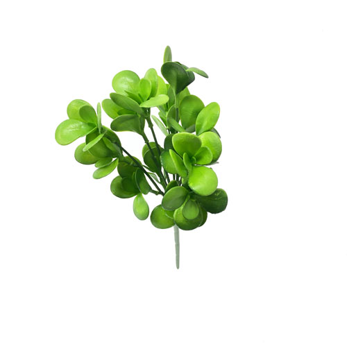 Jade Suculenta Artificial 7H (31cm) - Imagem 7