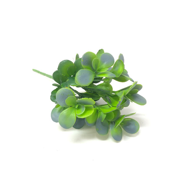 Jade Suculenta Artificial 7H (31cm) - Imagem 4