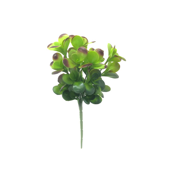 Jade Suculenta Artificial 7H (31cm) - Imagem 11