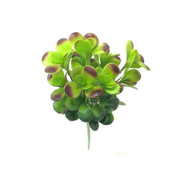 Jade Suculenta Artificial 7H (31cm) - Imagem 10