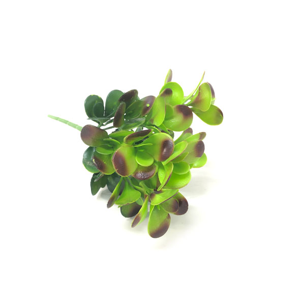 Jade Suculenta Artificial 7H (31cm) - Imagem 12