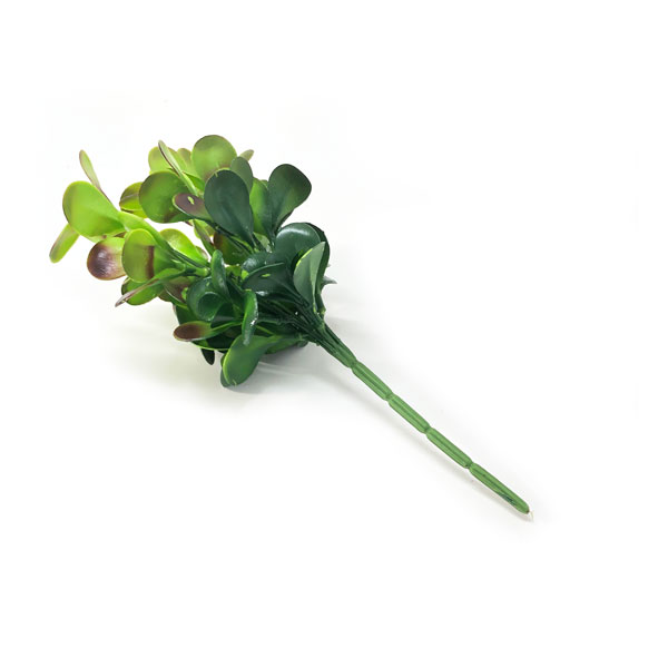 Jade Suculenta Artificial 7H (31cm) - Imagem 13