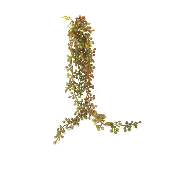 Colar-de-Perolas Suculenta Artificial (54cm) - Imagem 8