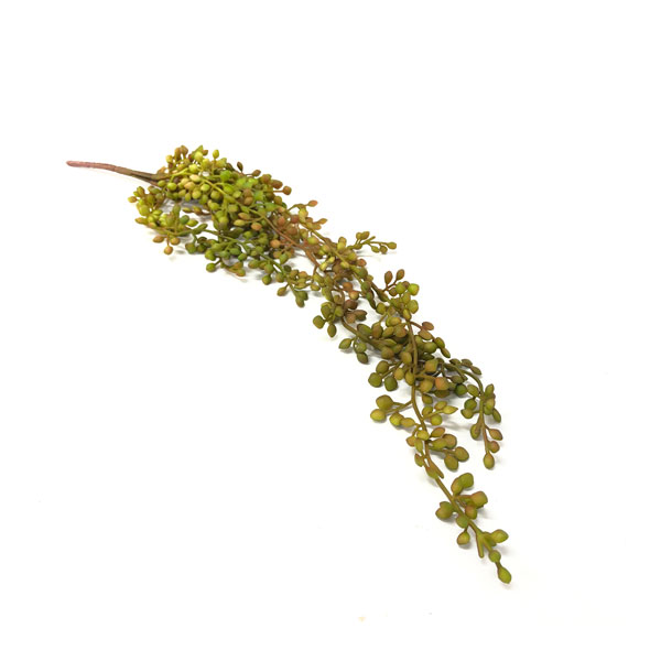Colar-de-Perolas Suculenta Artificial (54cm) - Imagem 12