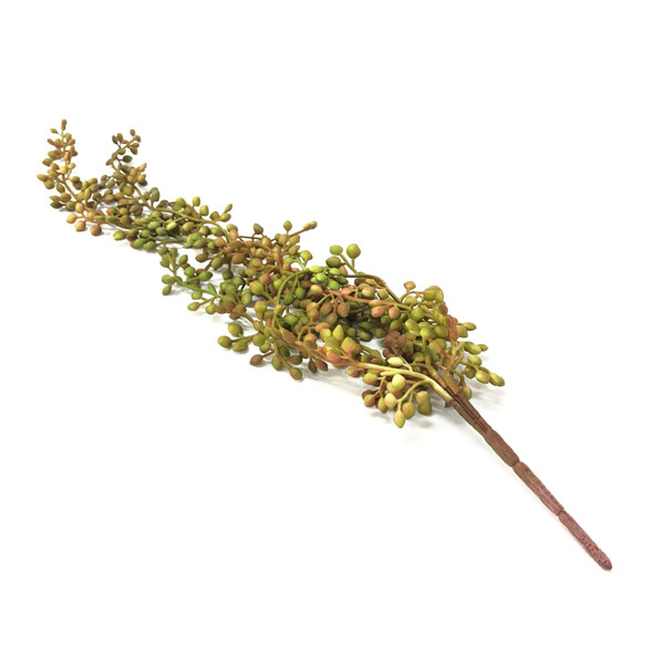 Colar-de-Perolas Suculenta Artificial (54cm) - Imagem 13