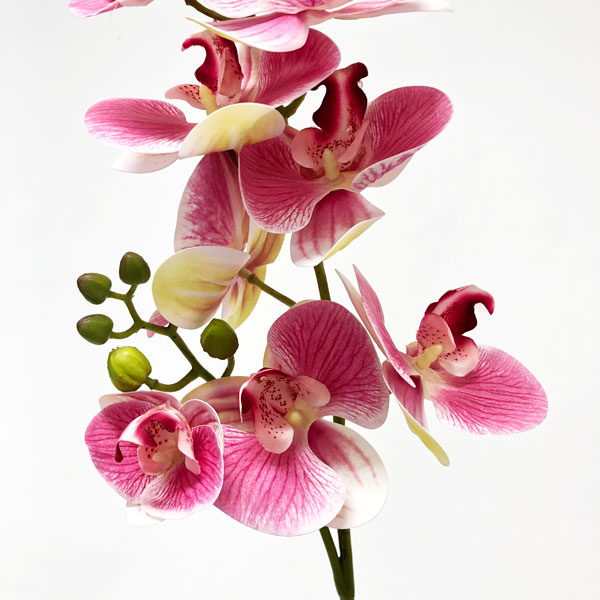 Orquídea Borboleta 3D 8FL Flor Artificial (80cm) - Imagem 31