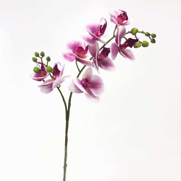 Orquídea Borboleta 3D 8FL Flor Artificial (80cm) - Imagem 24