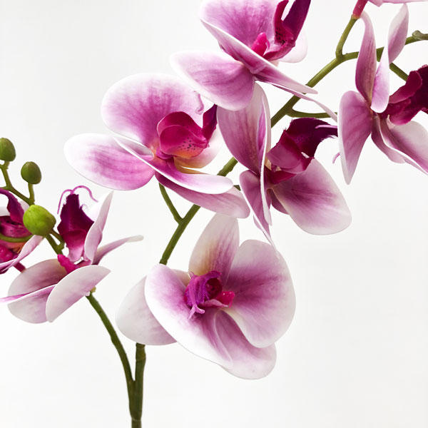 Orquídea Borboleta 3D 8FL Flor Artificial (80cm) - Imagem 26