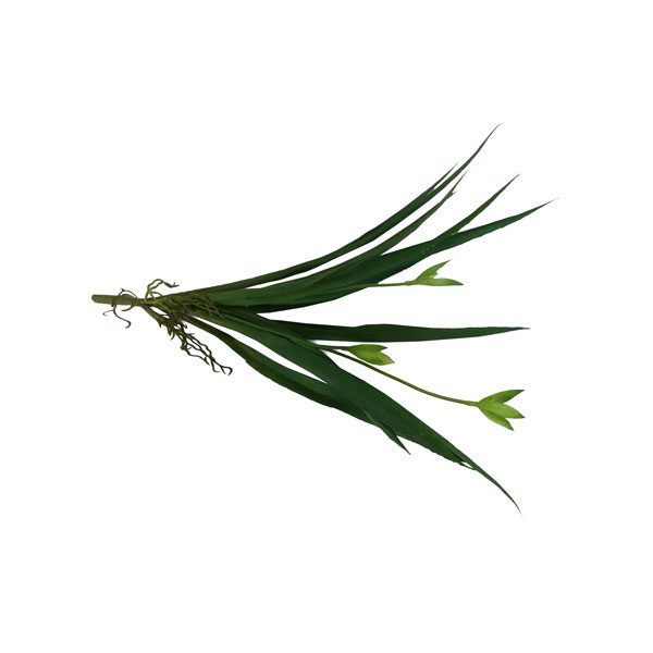 Folha de Orquídea Cymbidium com Broto Artificial (34cm) - Imagem 3