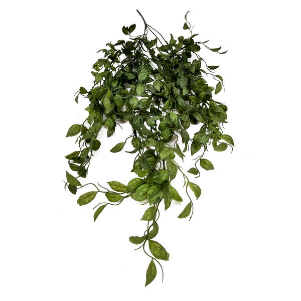 Peperômia Folhagem Pendente Artificial (80cm) - Imagem 10