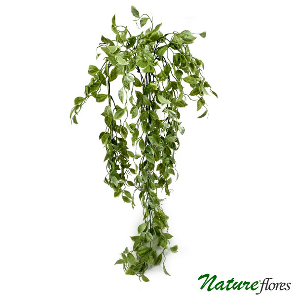 Peperômia Folhagem Pendente Artificial (80cm) - Imagem 2