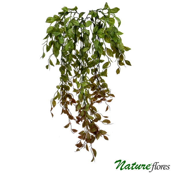 Peperômia Folhagem Pendente Artificial (80cm) - Imagem 5