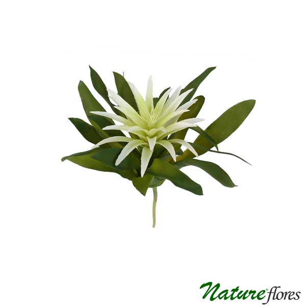 Crassula Suculenta Artificial (22cm) - Imagem 3