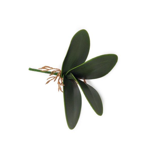 Folha de Orquídea Phalaenopsis Artificial 4F (22cm) - Imagem 3
