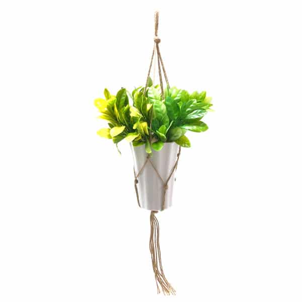 Eden Folhagem Artificial 5H (33cm) - Imagem 2