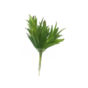 Onze Horas Verde Mini Artificial (13cm)