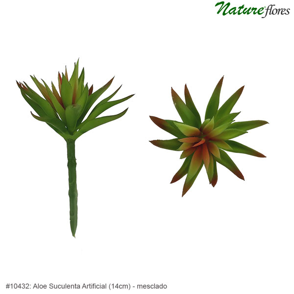Aloe Suculenta Artificial (14cm) - Imagem 5