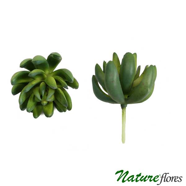 Suculenta Dedo de Moça Artificial (9cm) - Imagem 6