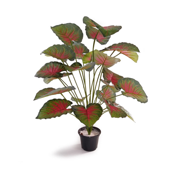 Tinhorão Arbusto Artificial 24F (80cm) - Imagem 10
