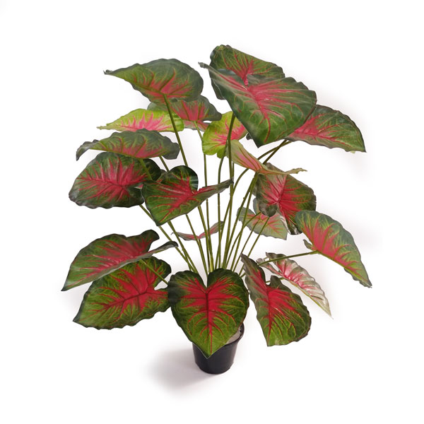 Tinhorão Arbusto Artificial 24F (80cm) - Imagem 11